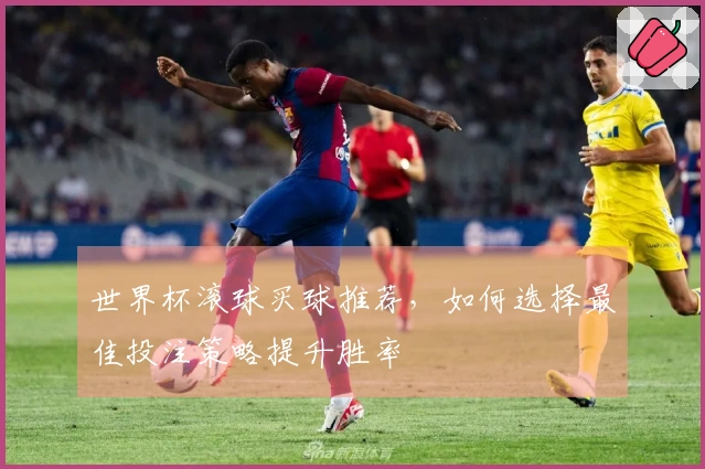 世界杯滚球买球推荐，如何选择最佳投注策略提升胜率