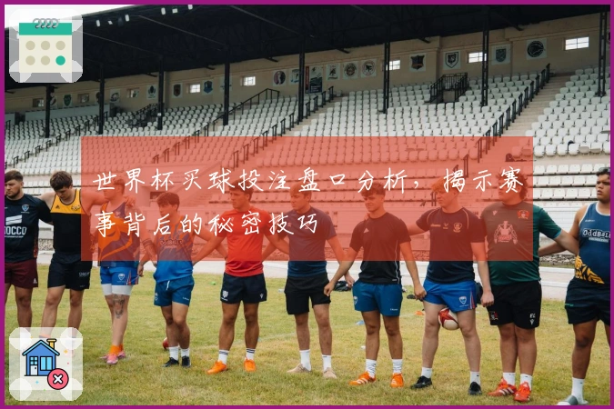 世界杯买球投注盘口分析，揭示赛事背后的秘密技巧