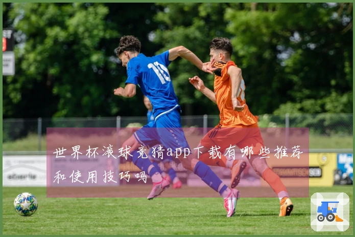 世界杯滚球竞猜app下载有哪些推荐和使用技巧吗