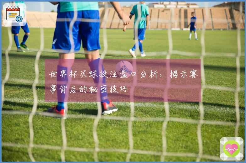 世界杯买球投注盘口分析，揭示赛事背后的秘密技巧