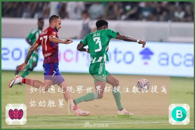 如何通过观察世界杯投注数据提高你的胜算