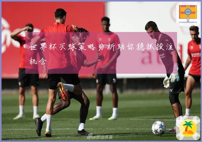 世界杯买球策略分析助你稳抓投注机会