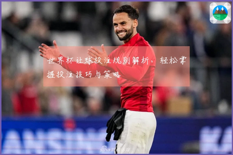 世界杯让球投注规则解析，轻松掌握投注技巧与策略